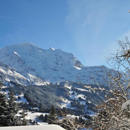 Apartment Central By Interhome Wengen Exterior foto